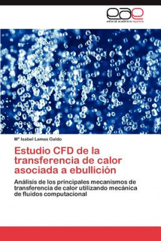 Carte Estudio CFD de la transferencia de calor asociada a ebullicion María Isabel Lamas Galdo