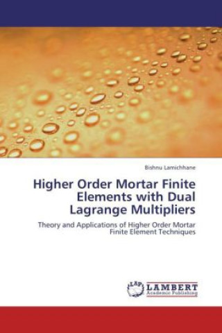 Kniha Higher Order Mortar Finite Elements with Dual Lagrange Multipliers Bishnu Lamichhane