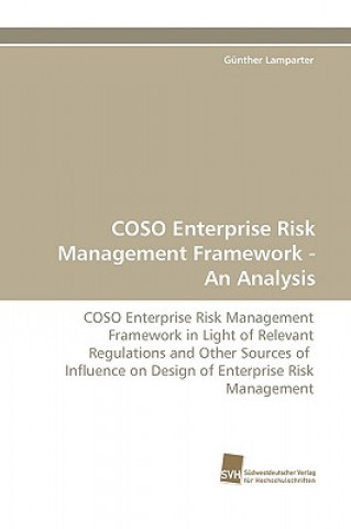 Buch Coso Enterprise Risk Management Framework - An Analysis Günther Lamparter