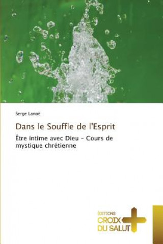 Buch Dans le souffle de l'esprit Serge Lanoë