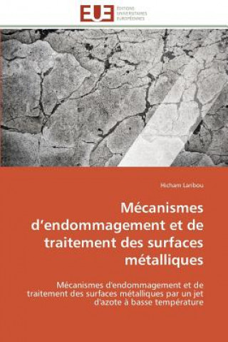 Buch M canismes D Endommagement Et de Traitement Des Surfaces M talliques Hicham Laribou