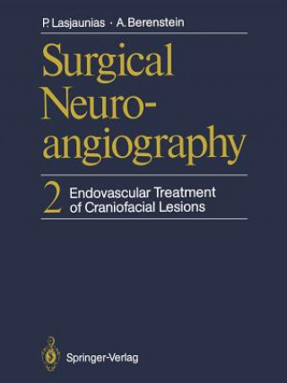 Könyv Surgical Neuroangiography Pierre Lasjaunias