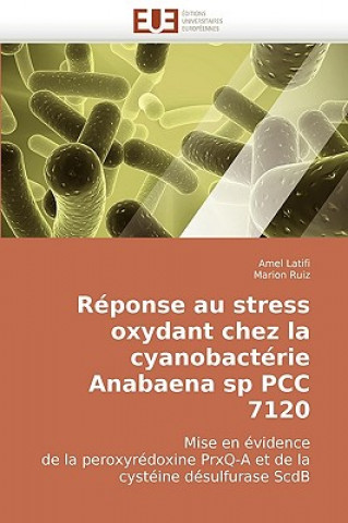 Książka Reponse au stress oxydant chez la cyanobacterie anabaena sp pcc 7120 Amel Latifi