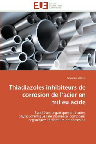 Kniha Thiadiazoles Inhibiteurs de Corrosion de L Acier En Milieu Acide Mounim Lebrini