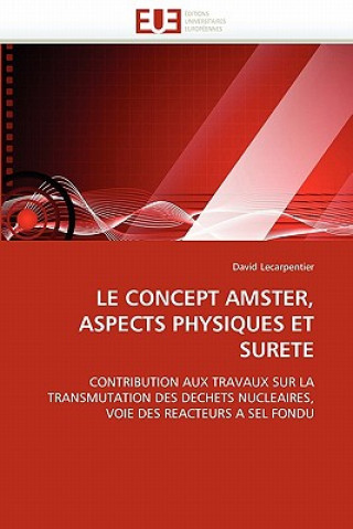 Könyv Concept Amster, Aspects Physiques Et Surete David Lecarpentier
