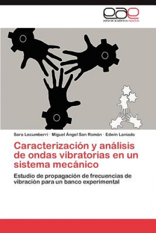 Kniha Caracterizacion y analisis de ondas vibratorias en un sistema mecanico Sara Lecumberri