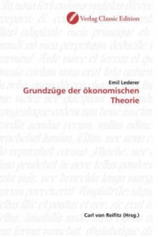 Kniha Grundzüge der ökonomischen Theorie Emil Lederer