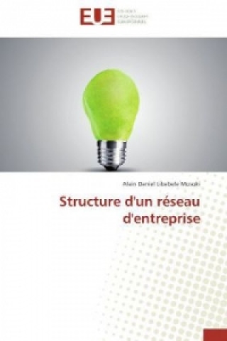 Kniha Structure d'un réseau d'entreprise Alain Daniel Libebele Musoki