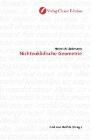 Buch Nichteuklidische Geometrie Heinrich Liebmann