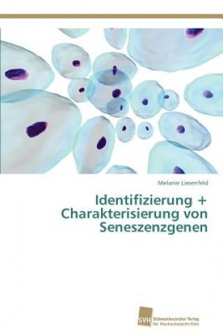 Könyv Identifizierung + Charakterisierung von Seneszenzgenen Melanie Liesenfeld