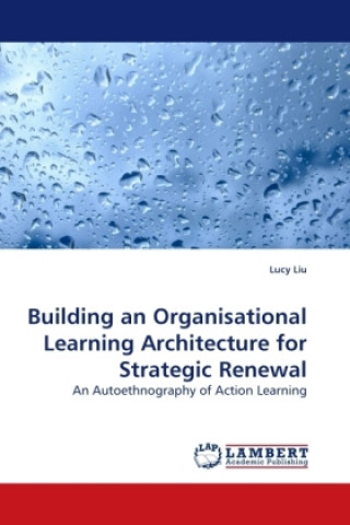 Carte Building an Organisational Learning Architecture for Strategic Renewal Lucy Liu