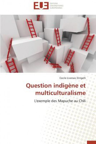 Carte Question Indig ne Et Multiculturalisme Cecile Livenais Strigelli