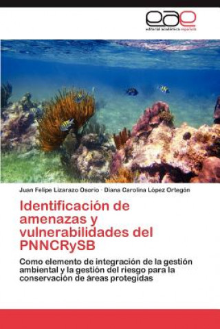 Kniha Identificacion de amenazas y vulnerabilidades del PNNCRySB Juan Felipe Lizarazo Osorio