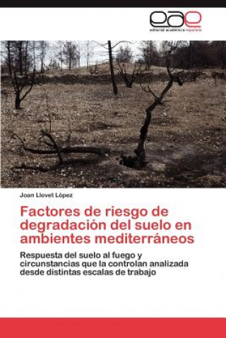 Könyv Factores de riesgo de degradacion del suelo en ambientes mediterraneos Joan Llovet López