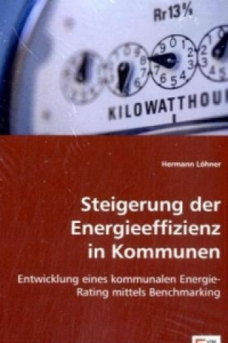 Buch Steigerung der Energieeffizienz in Kommunen Hermann Löhner