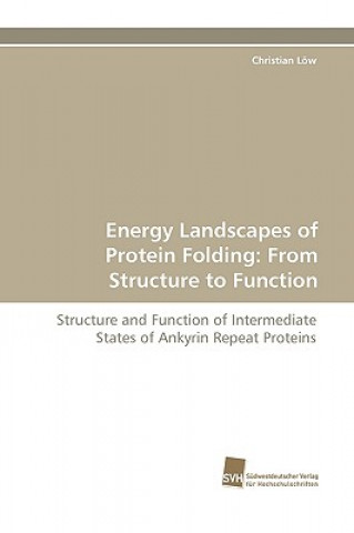 Kniha Energy Landscapes of Protein Folding Christian Löw