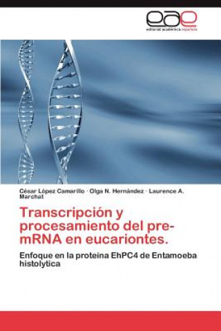 Книга Transcripcion y Procesamiento del Pre-Mrna En Eucariontes. César López Camarillo