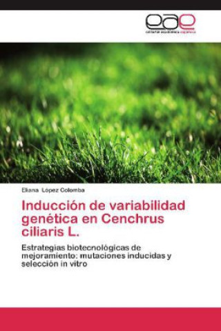 Könyv Inducción de variabilidad genética en Cenchrus ciliaris L. Eliana López Colomba