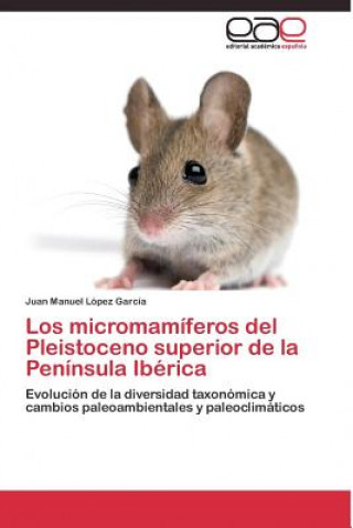 Könyv micromamiferos del Pleistoceno superior de la Peninsula Iberica Juan Manuel López García