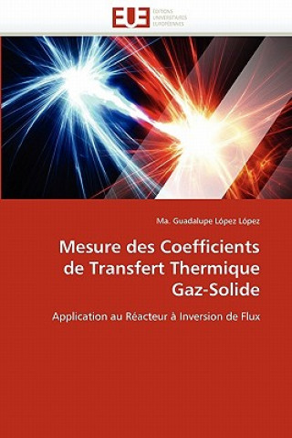 Kniha Mesure Des Coefficients de Transfert Thermique Gaz-Solide Ma. Guadalupe López López
