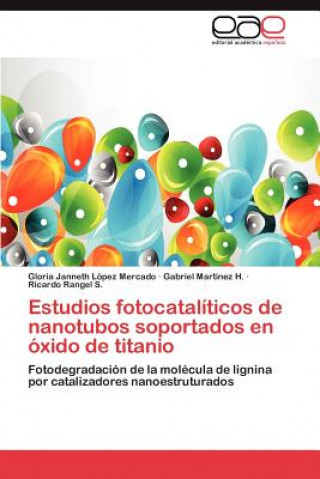 Book Estudios Fotocataliticos de Nanotubos Soportados En Oxido de Titanio Gloria Janneth López Mercado