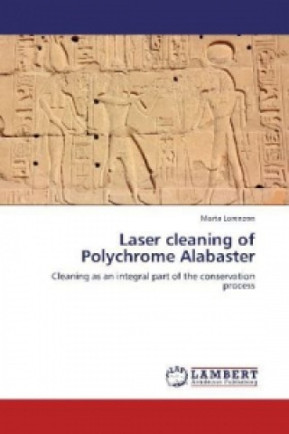 Könyv Laser cleaning of Polychrome Alabaster Marta Lorenzon