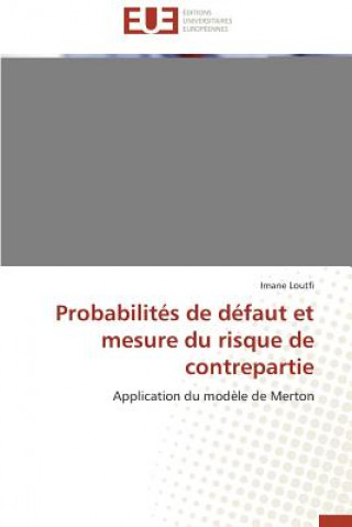 Könyv Probabilit s de D faut Et Mesure Du Risque de Contrepartie Imane Loutfi