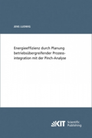 Książka Energieeffizienz durch Planung betriebsubergreifender Prozessintegration mit der Pinch-Analyse Jens Ludwig
