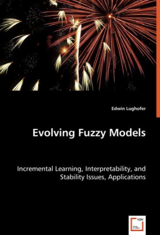 Libro Evolving Fuzzy Models Edwin Lughofer