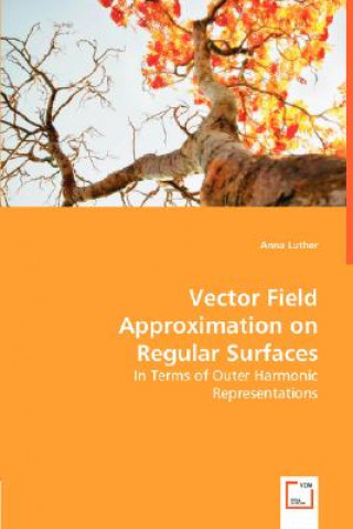 Carte Vector Field Approximation on Regular Surfaces Anna Luther