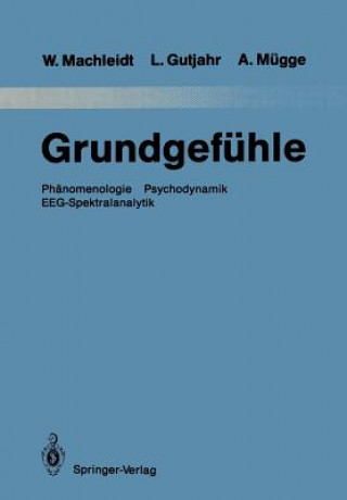 Книга Grundgefuhle Wielant Machleidt