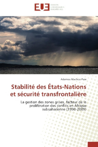 Könyv Stabilité des États-Nations et sécurité transfrontalière Adamou Machou Pare