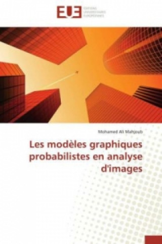 Kniha Les modèles graphiques probabilistes en analyse d'images Mohamed Ali Mahjoub