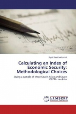 Carte Calculating an Index of Economic Security: Methodological Choices Syed Saad Mahmood