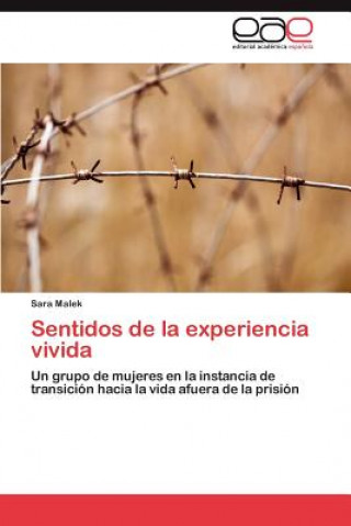 Könyv Sentidos de la experiencia vivida Sara Malek