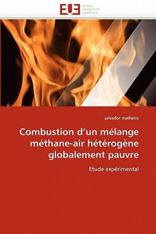 Könyv Combustion d''un M lange M thane-Air H t rog ne Globalement Pauvre Salvador Malheiro