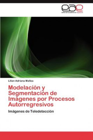 Книга Modelacion y Segmentacion de Imagenes por Procesos Autorregresivos Lilian Adriana Mallea