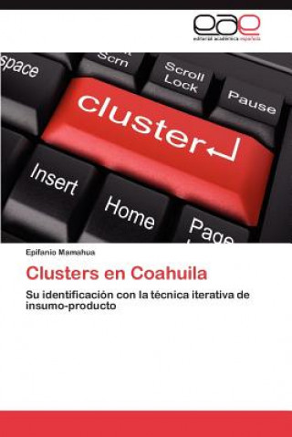 Kniha Clusters En Coahuila Epifanio Mamahua