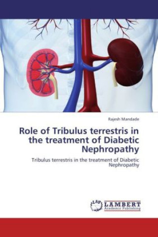 Könyv Role of Tribulus terrestris in the treatment of Diabetic Nephropathy Rajesh Mandade