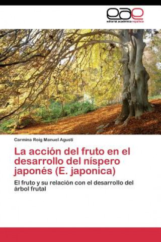 Carte accion del fruto en el desarrollo del nispero japones (E. japonica) Carmina Reig Manuel Agustí