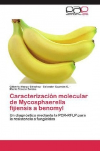 Książka Caracterizacion molecular de Mycosphaerella fijiensis a benomyl Gilberto Manzo-Sánchez