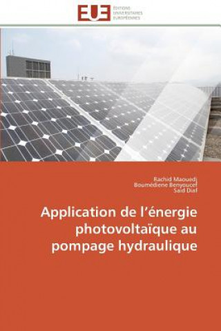 Livre Application de L  nergie Photovolta que Au Pompage Hydraulique Rachid Maouedj