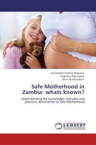 Könyv Safe Motherhood in Zambia: whats known? Christopher Chabila Mapoma