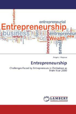 Buch Entrepreneurship Angela Maposa