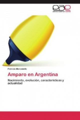 Carte Amparo en Argentina Patricio Maraniello