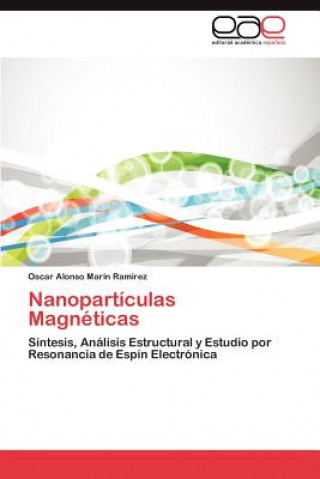 Kniha Nanoparticulas Magneticas Oscar Alonso Marín Ramírez