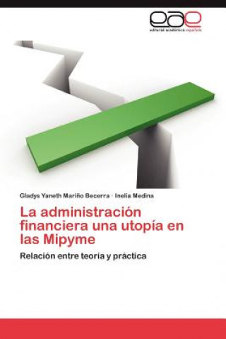 Kniha Administracion Financiera Una Utopia En Las Mipyme Inelia Medina