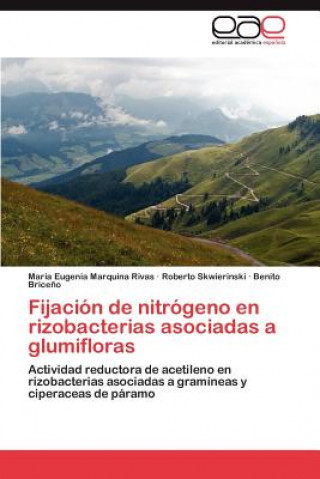 Kniha Fijacion de nitrogeno en rizobacterias asociadas a glumifloras Maria Eugenia Marquina Rivas