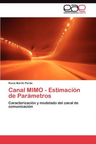 Carte Canal MIMO - Estimacion de Parametros Rocío Martín Pardo