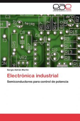 Carte Electronica industrial Sergio Adrián Martin